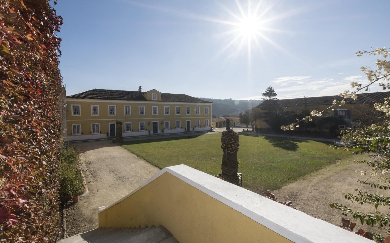 Homestead 6.4 ha, Nazaré - Image 12
