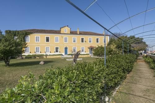PF31793 - Herdade 6.4 ha, Nazaré - Imagem 5
