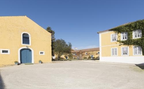 PF31793 - Herdade 6.4 ha, Nazaré - Imagem 17