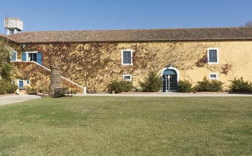 PF31793 - Herdade 6.4 ha, Nazaré - Imagem 20