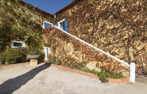 PF31793 - Herdade 6.4 ha, Nazaré - Imagem 19
