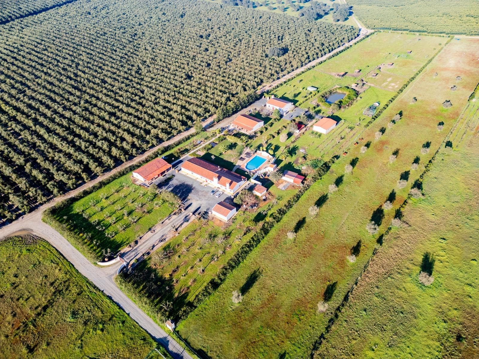 Quinta 2.8 ha, Ferreira do Alentejo - Imagem 64