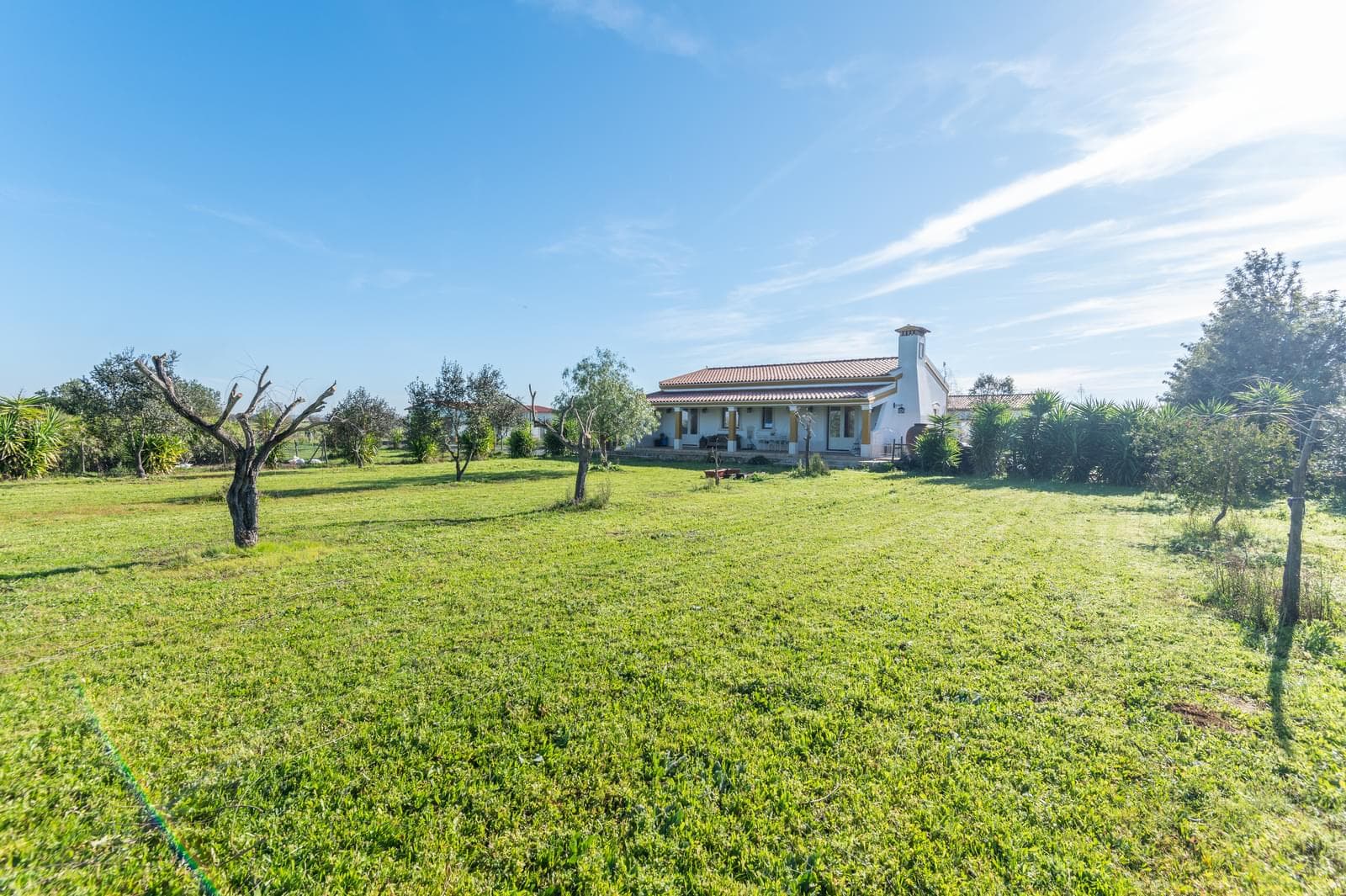 Quinta 2.8 ha, Ferreira do Alentejo - Imagem 37