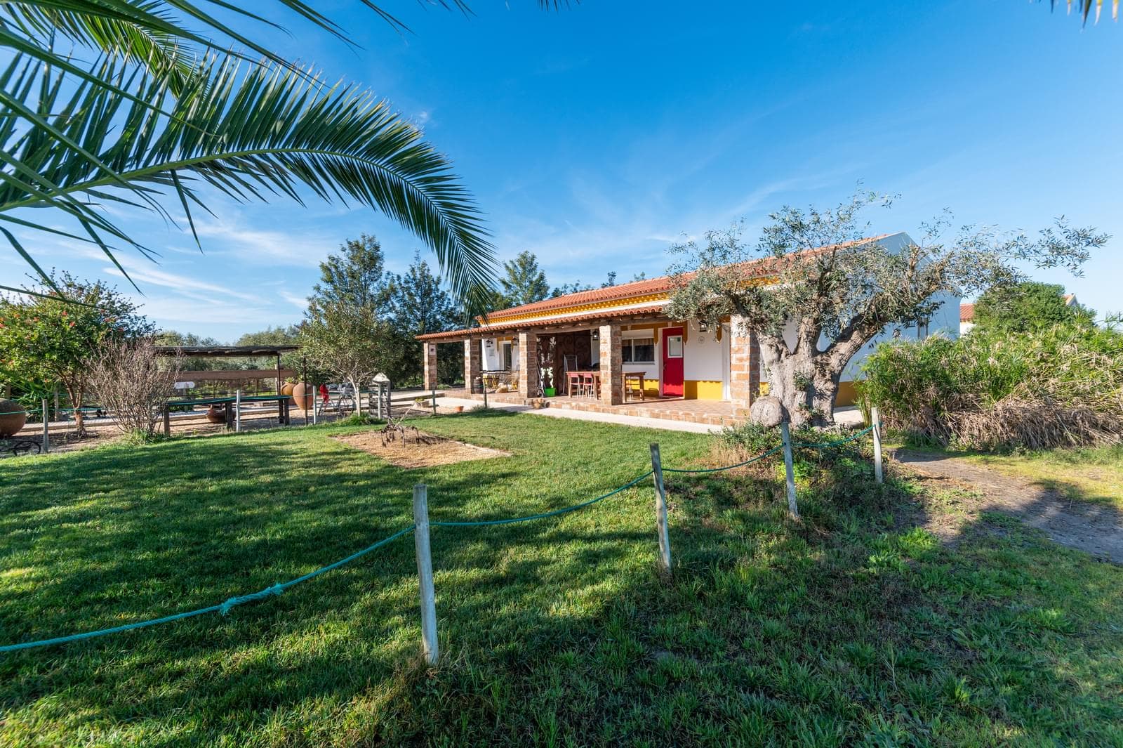 Quinta 2.8 ha, Ferreira do Alentejo - Imagem 50