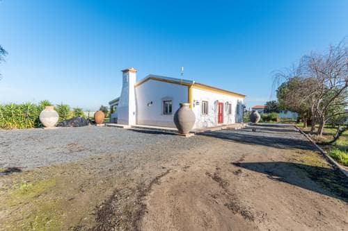 PF32032 - Ferme 2.8 ha, Ferreira do Alentejo - Image 35
