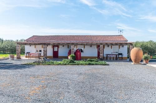 PF32032 - Ferme 2.8 ha, Ferreira do Alentejo - Image 49