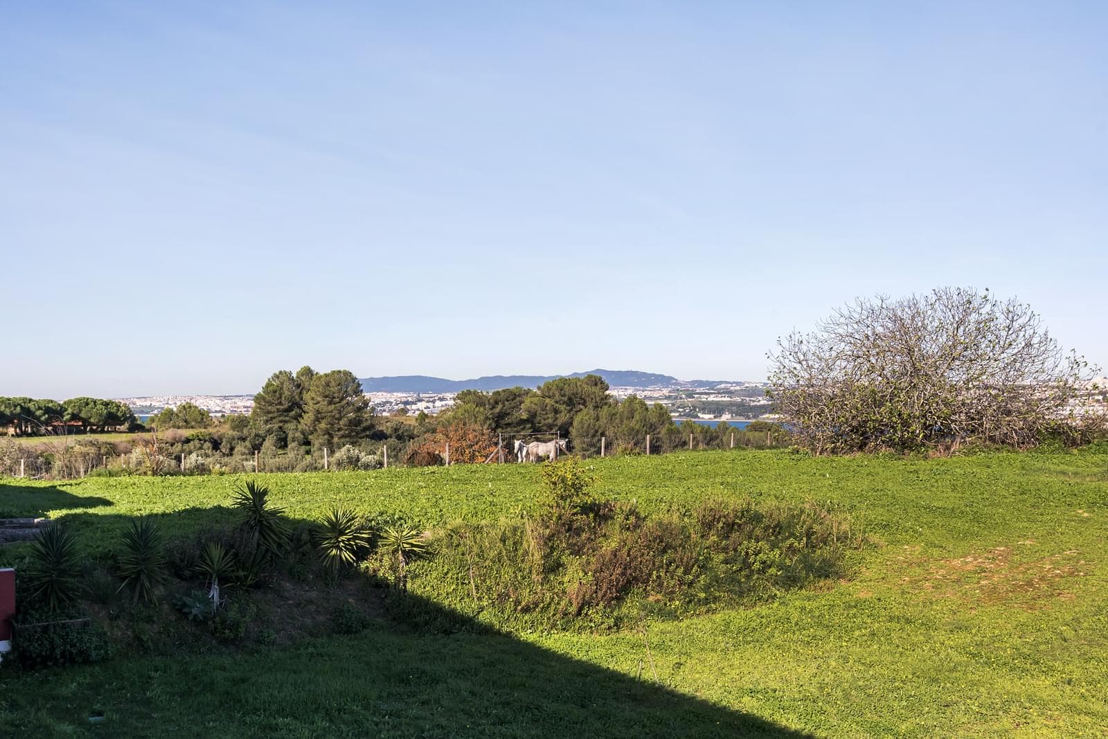Moradia Isolada T5 com jardim, Trafaria, Almada - Imagem 52