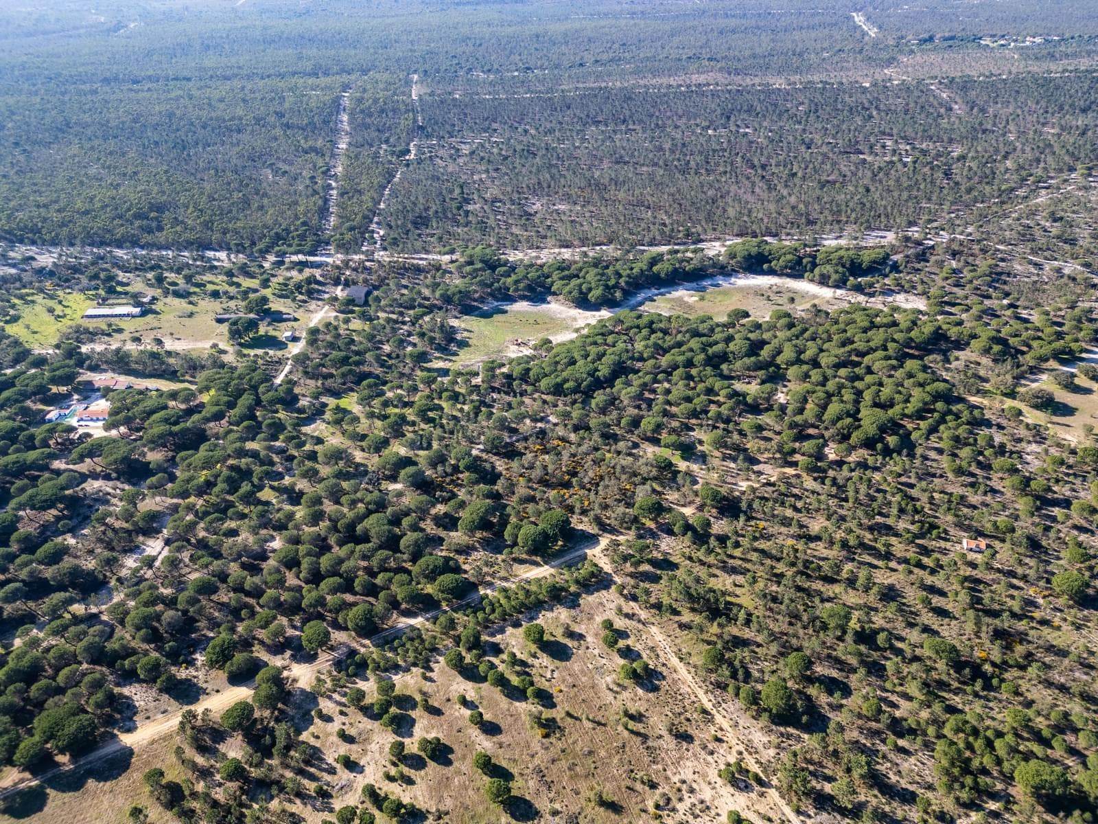 Terrain rustique 6.7 ha, Melides, Grandola - Image 6