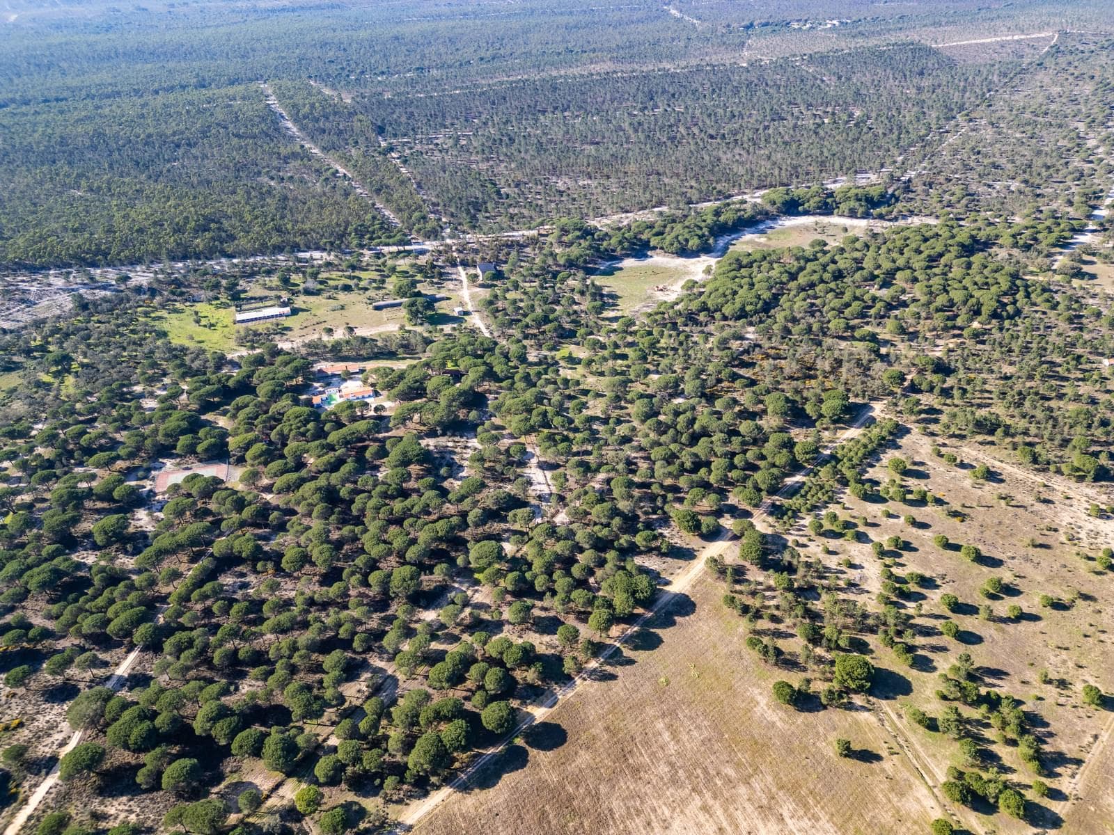 Terrain rustique 6.7 ha, Melides, Grandola - Image 7