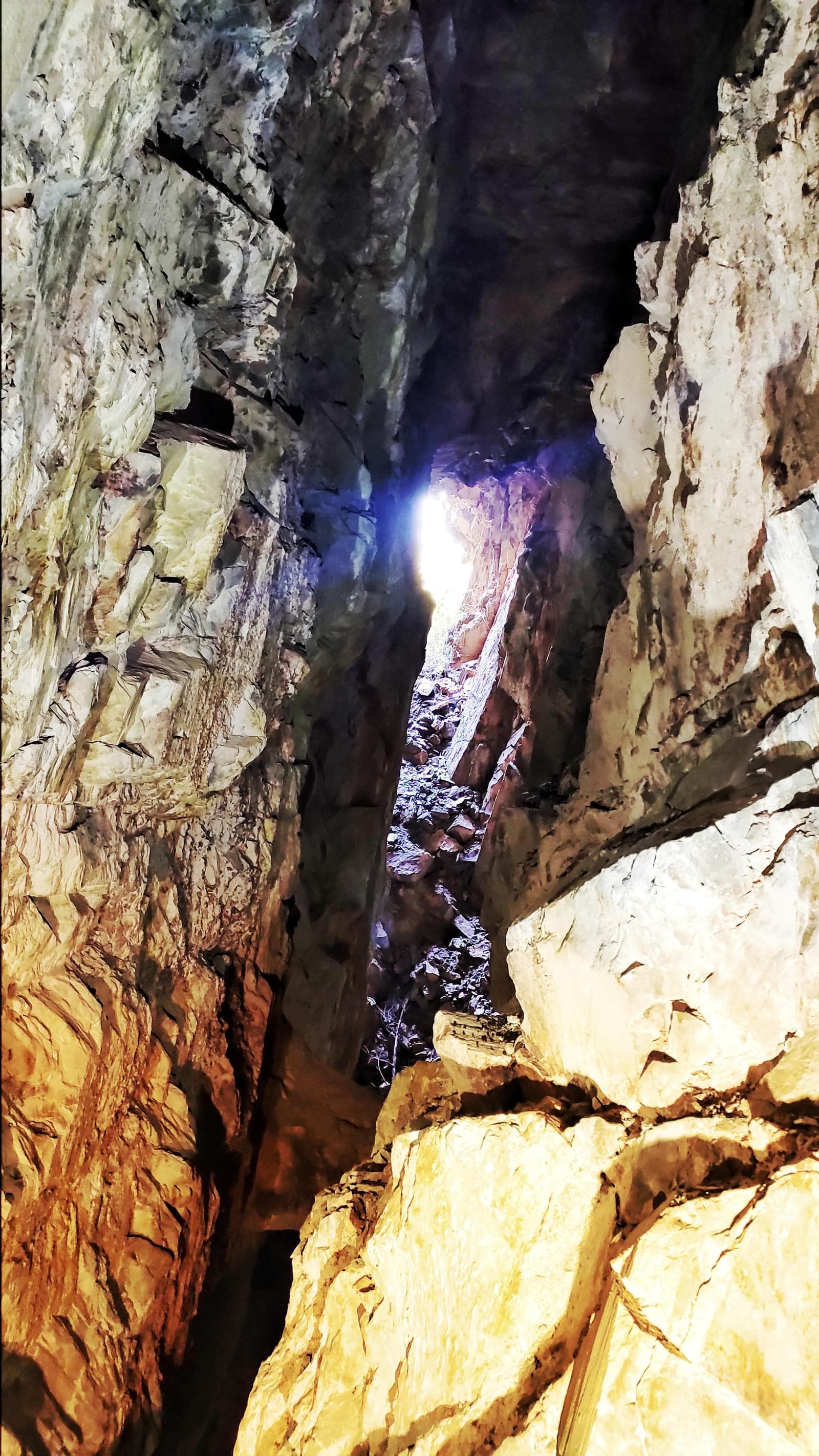 Quinta 5.3 ha, Covilhã - Imagem 53