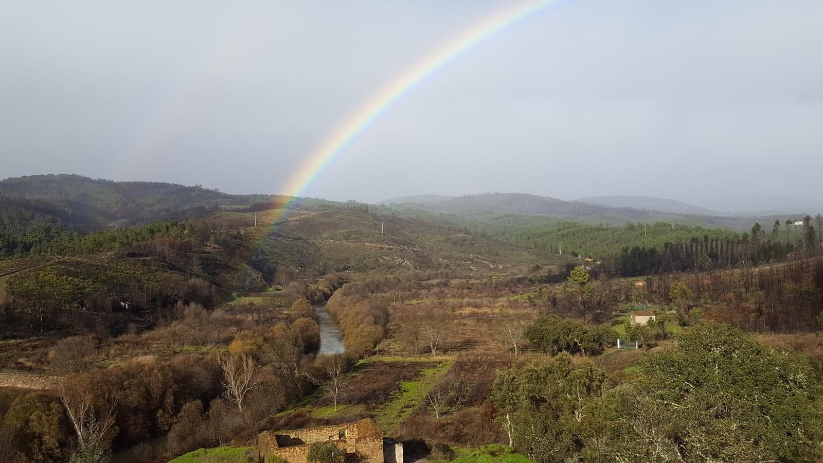 Quinta 5.3 ha, Covilhã - Imagem 20