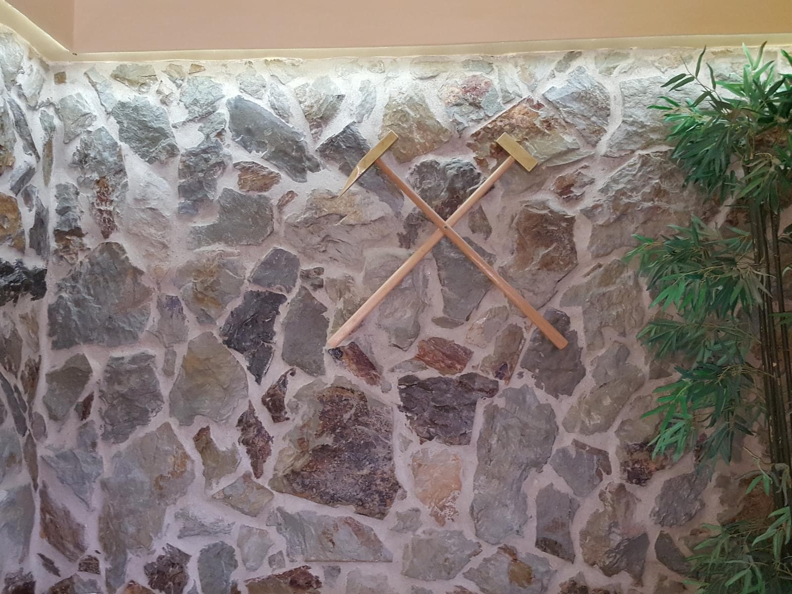 Quinta 5.3 ha, Covilhã - Imagem 28