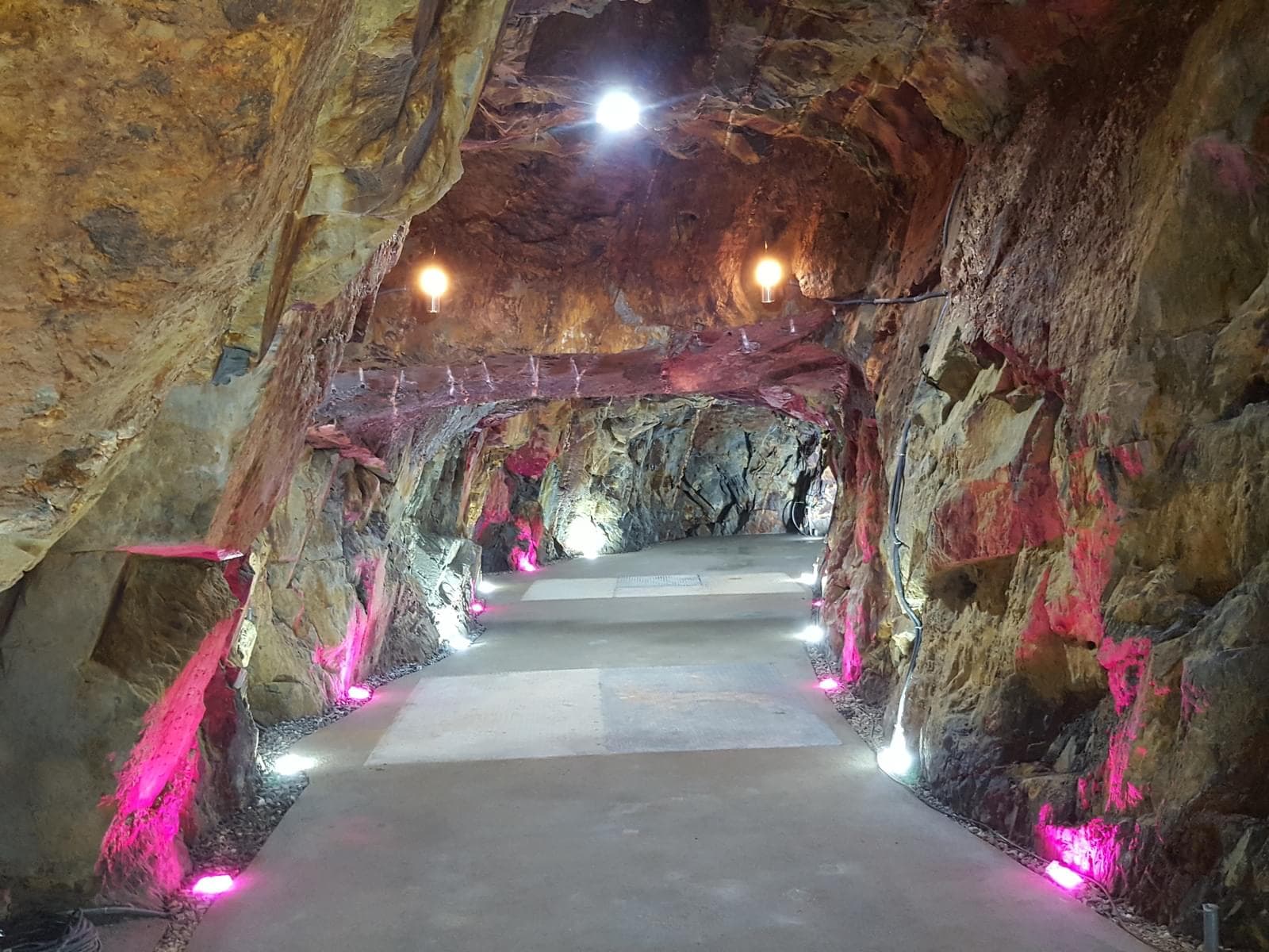 Quinta 5.3 ha, Covilhã - Imagem 15