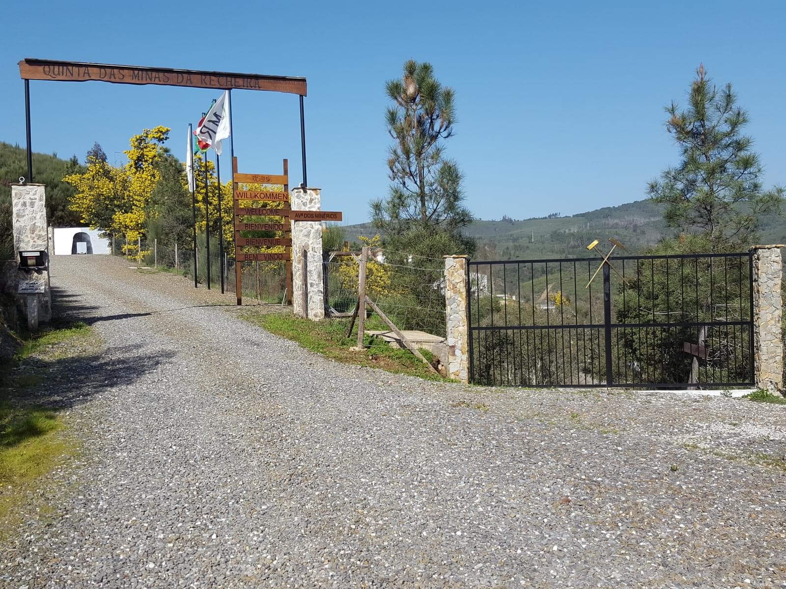 Quinta 5.3 ha, Covilhã - Imagem 42