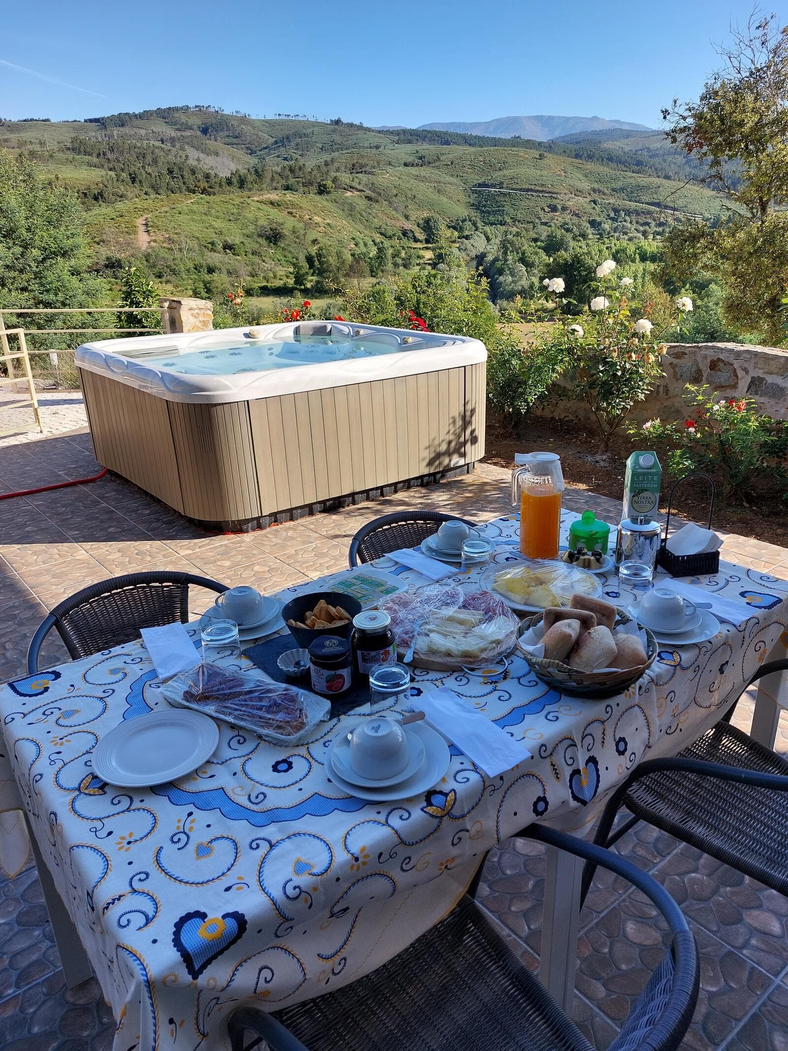 Quinta 5.3 ha, Covilhã - Imagem 43
