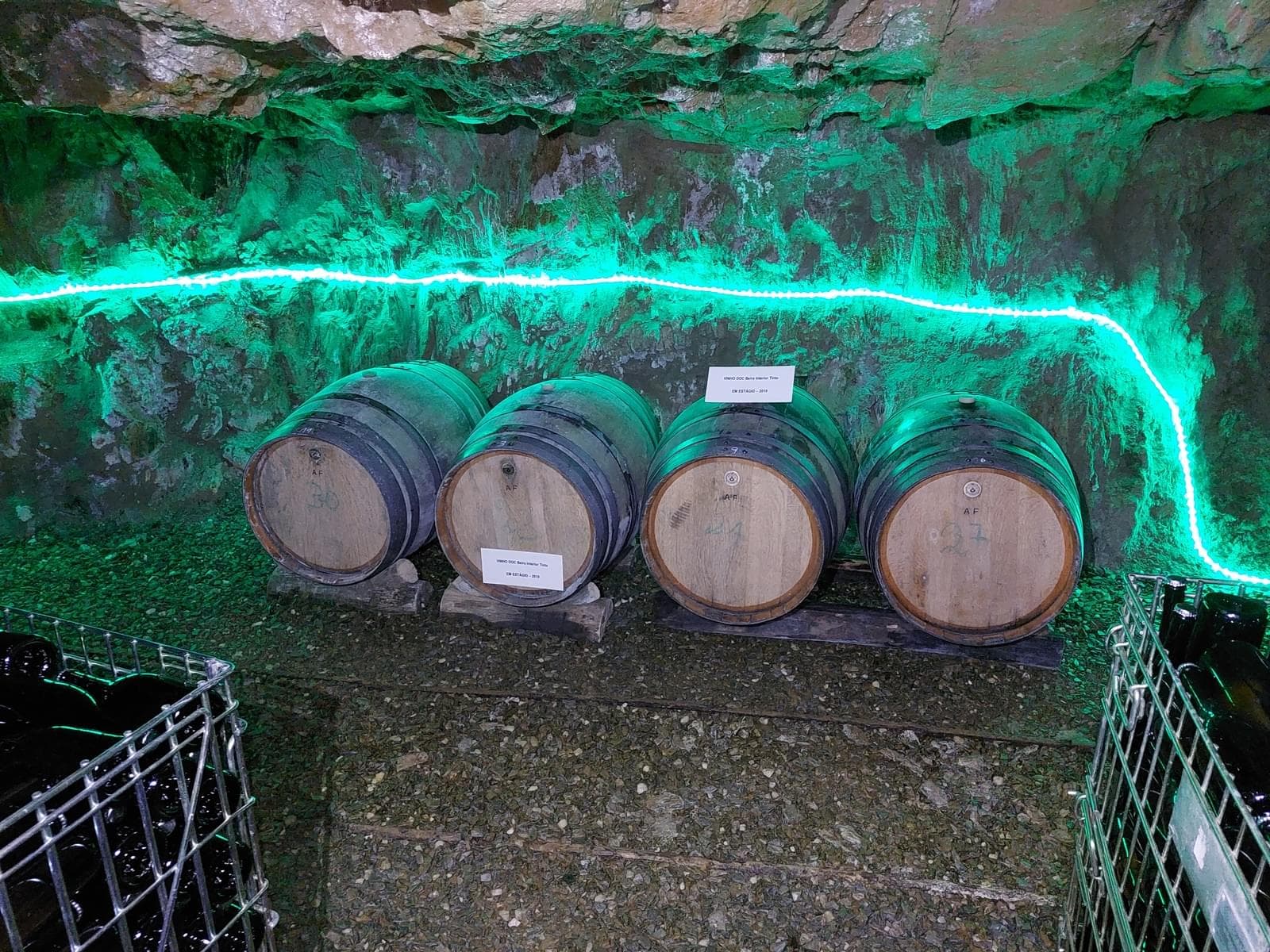 Quinta 5.3 ha, Covilhã - Imagem 45
