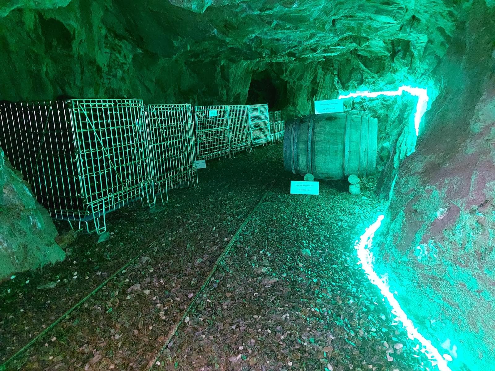 Quinta 5.3 ha, Covilhã - Imagem 46