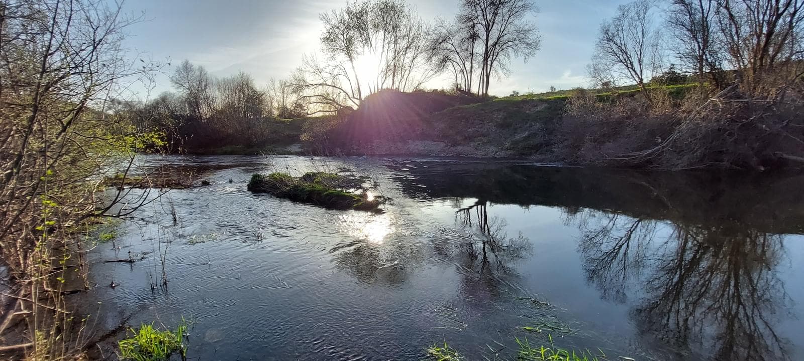 Quinta 5.3 ha, Covilhã - Imagem 49
