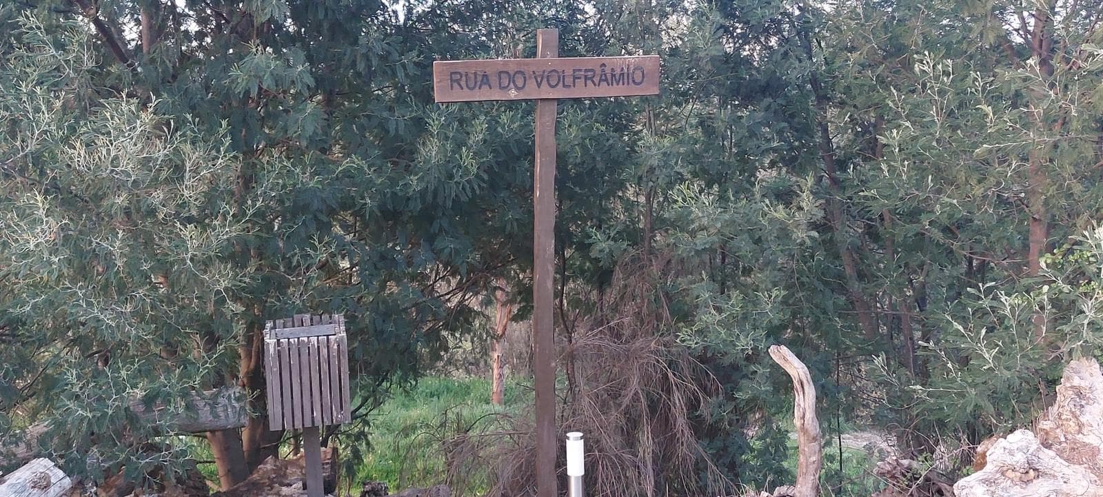 Quinta 5.3 ha, Covilhã - Imagem 50