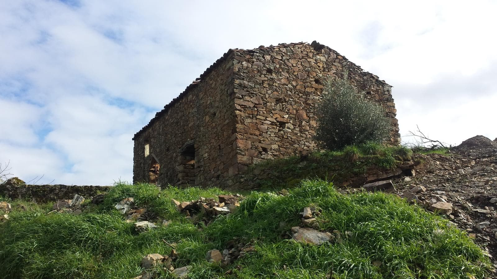 Quinta 5.3 ha, Covilhã - Imagem 19
