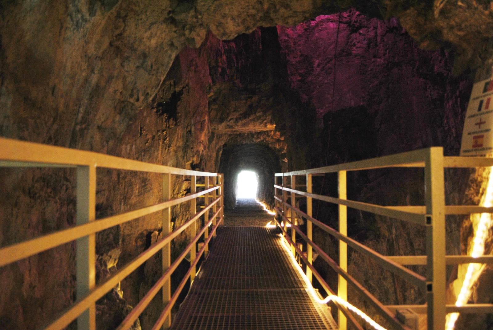 Quinta 5.3 ha, Covilhã - Imagem 65
