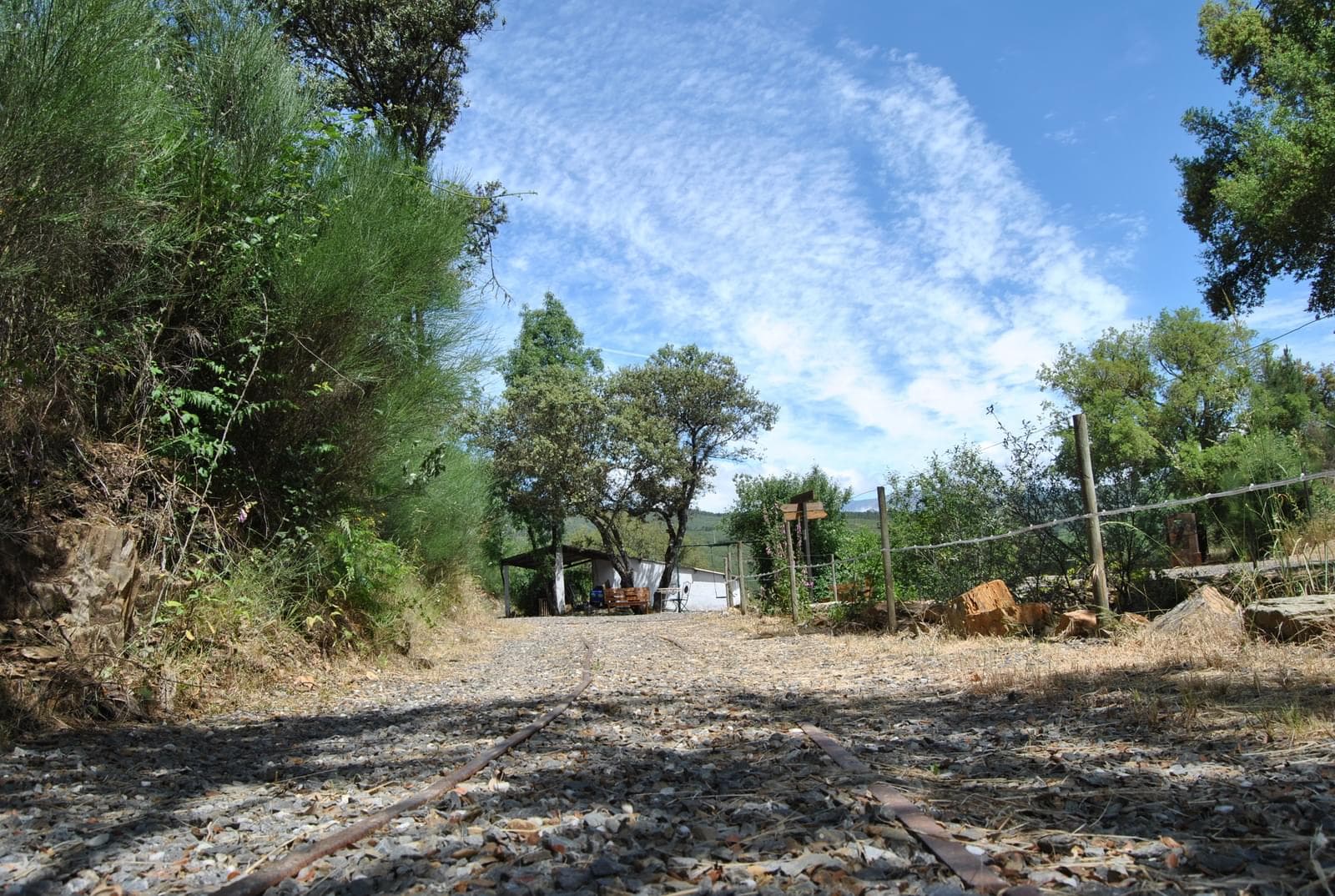 Quinta 5.3 ha, Covilhã - Imagem 73