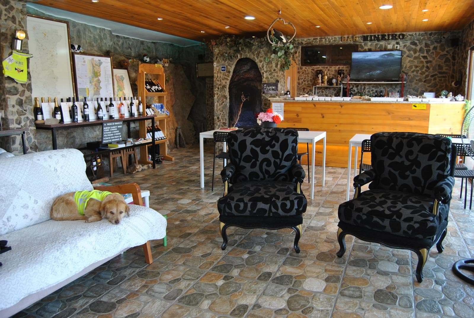 Quinta 5.3 ha, Covilhã - Imagem 82