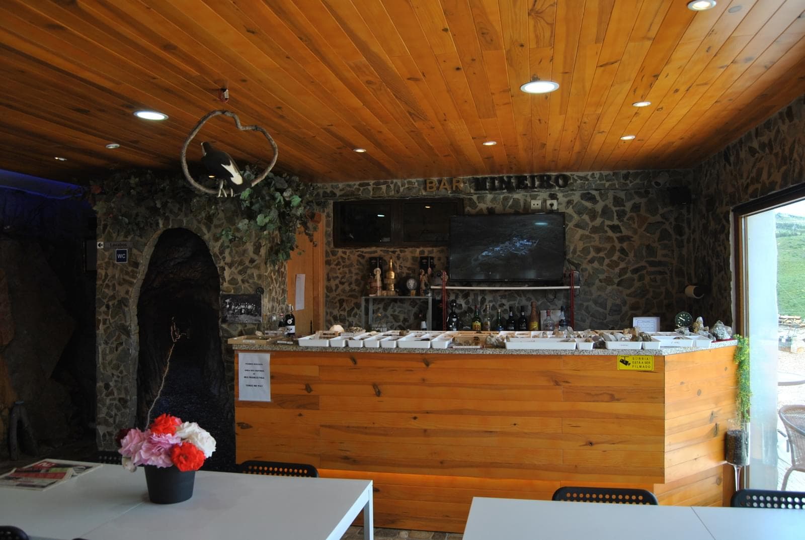 Quinta 5.3 ha, Covilhã - Imagem 83