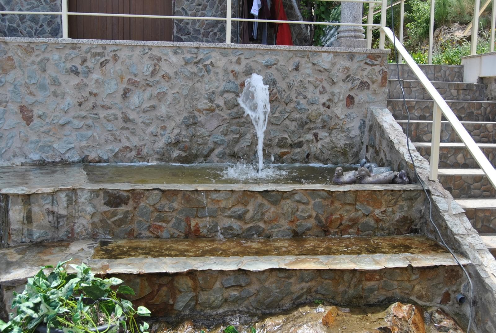 Quinta 5.3 ha, Covilhã - Imagem 89