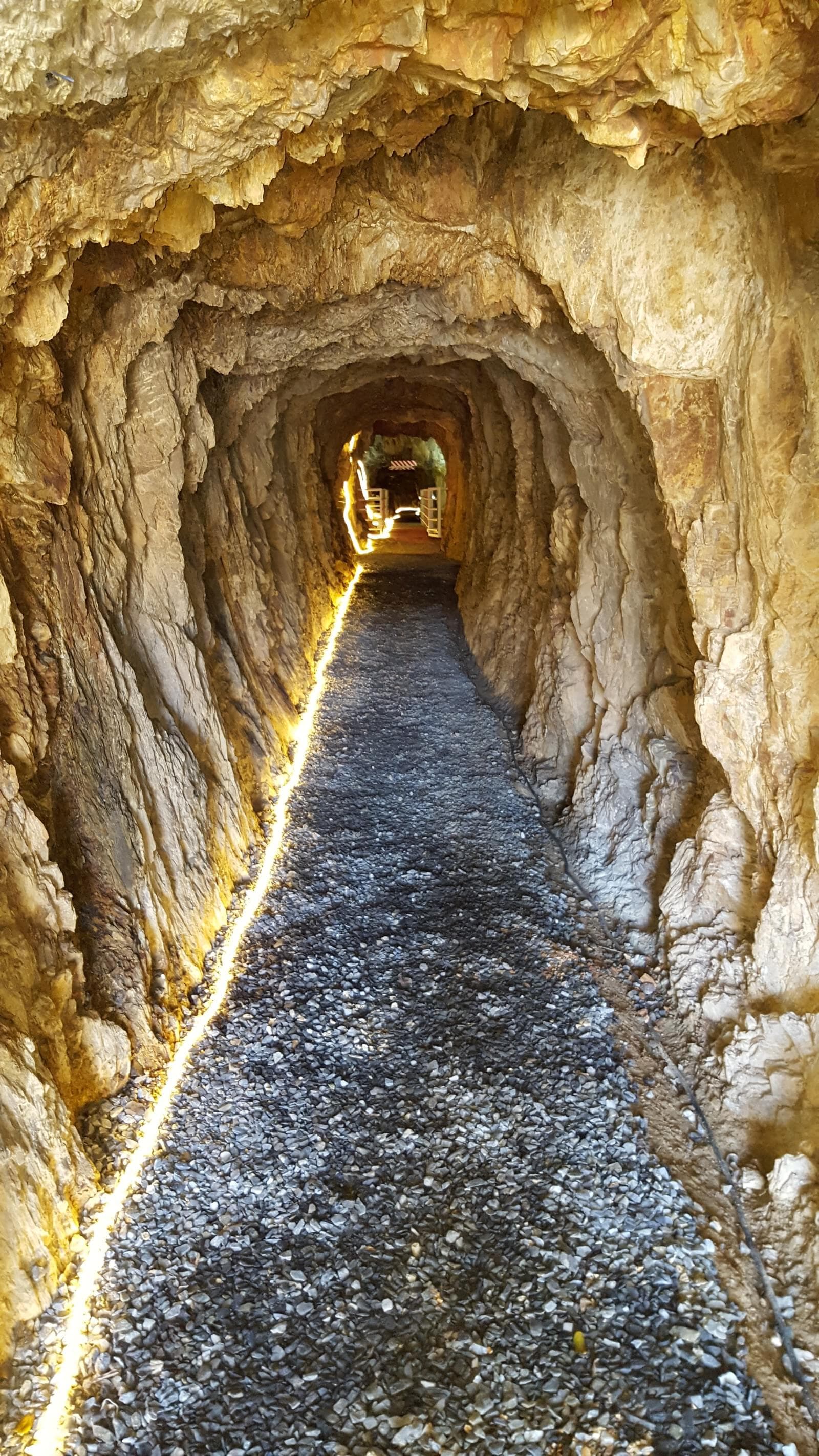 Quinta 5.3 ha, Covilhã - Imagem 91