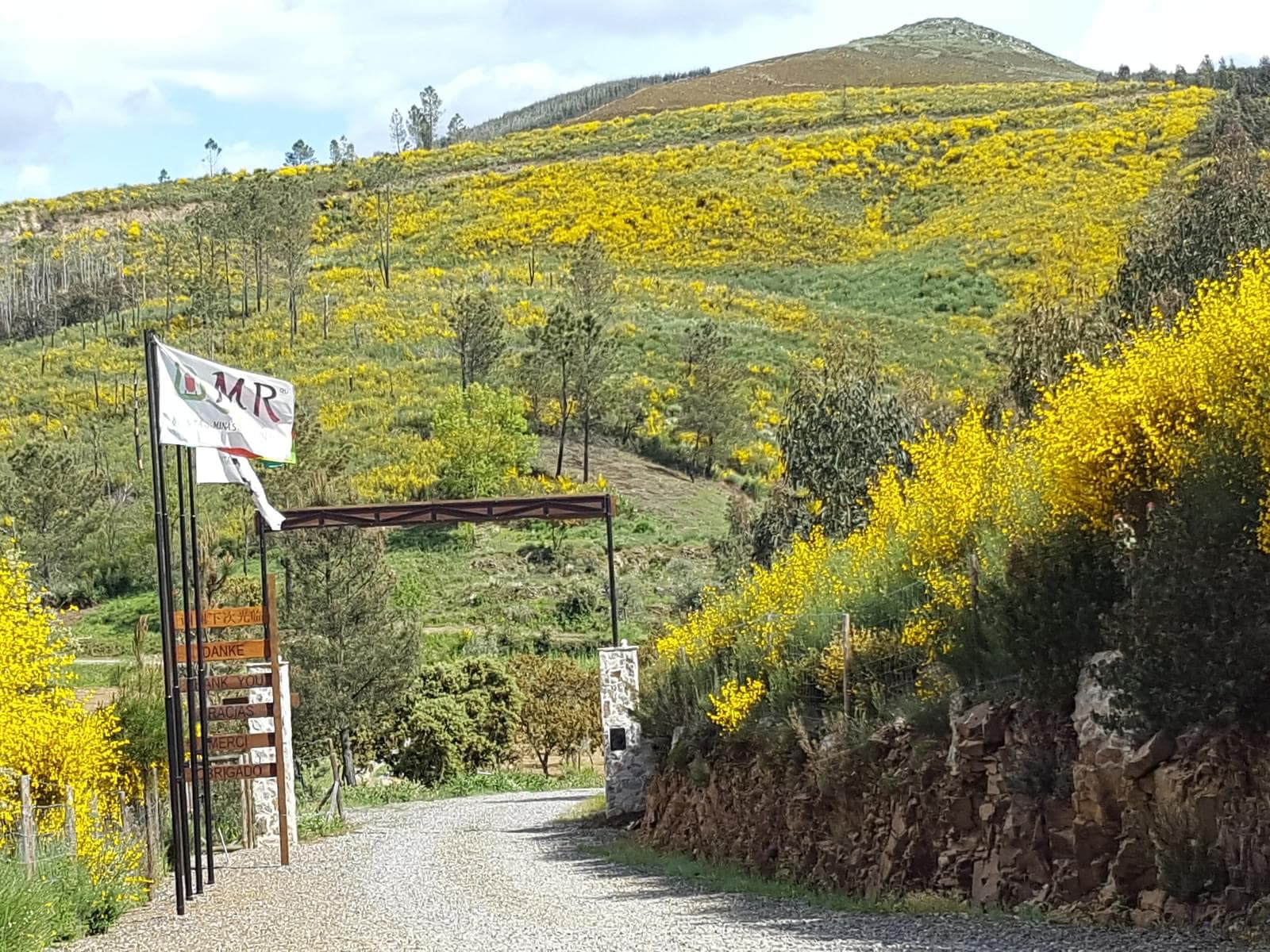 Quinta 5.3 ha, Covilhã - Imagem 107
