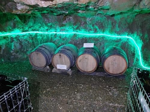 PF37345 - Ferme 5.3 ha, Covilhã - Image 45