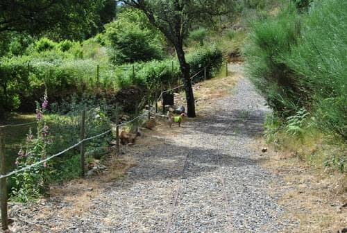 PF37345 - Ferme 5.3 ha, Covilhã - Image 70
