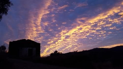 PF37345 - Ferme 5.3 ha, Covilhã - Image 122
