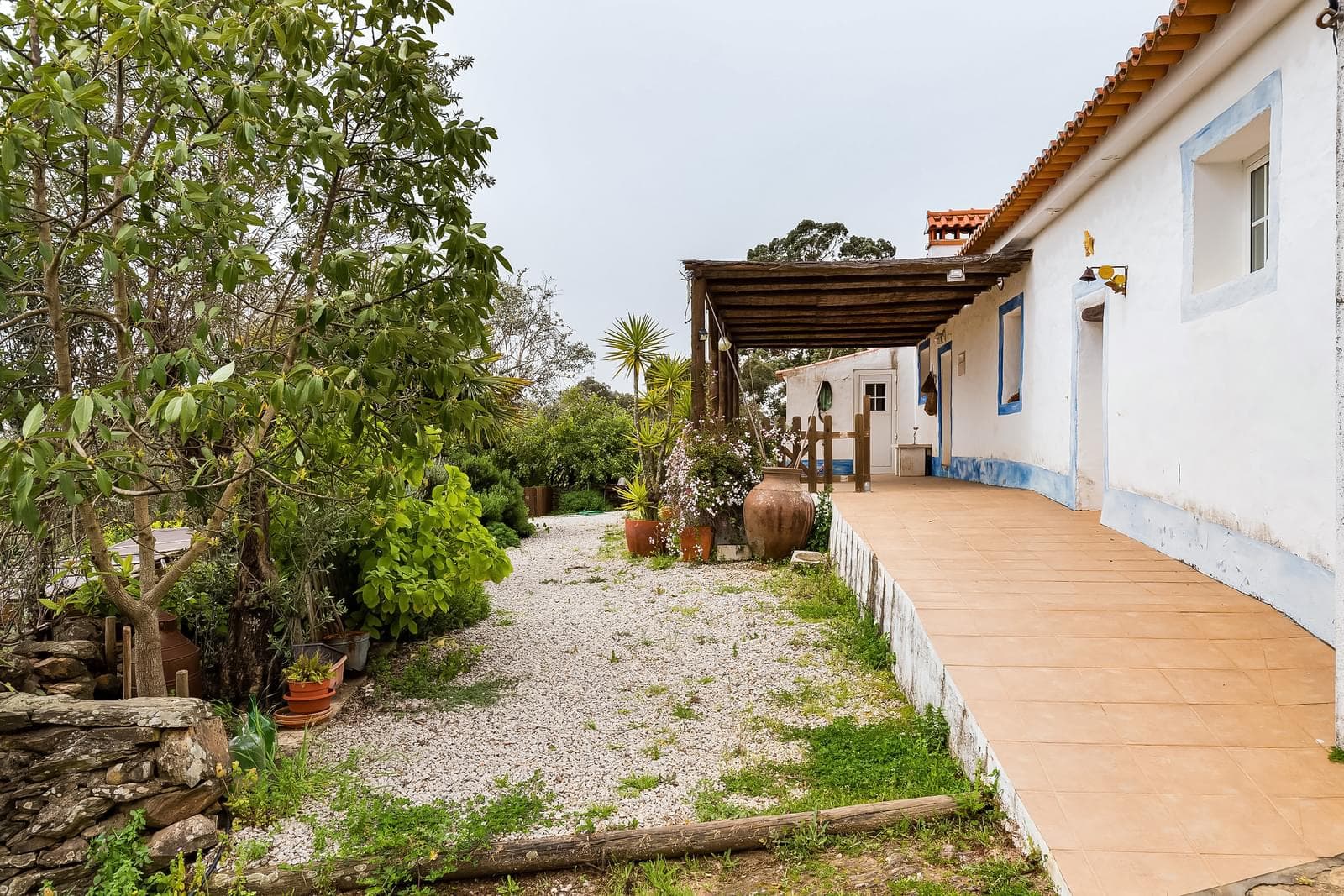 Herdade 16.3 ha, Mosteiros, Arronches - Imagem 4