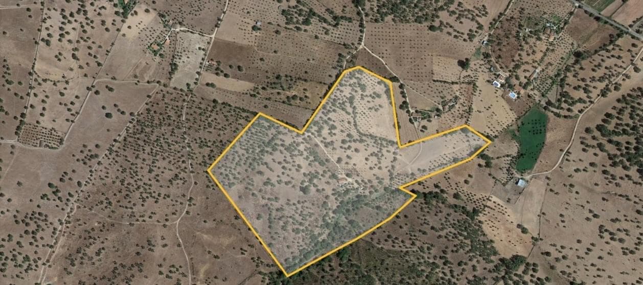 Herdade 16.3 ha, Mosteiros, Arronches - Imagem 44