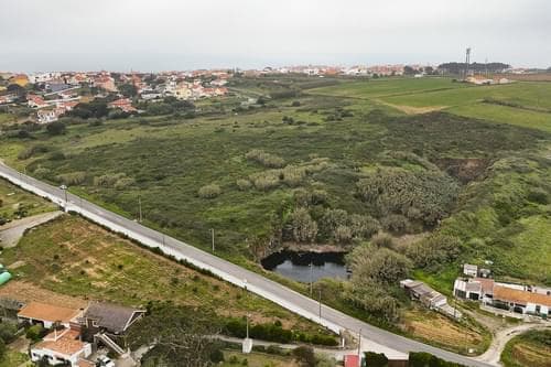 PF32957 - Terreno Rústico 2.7 ha, Santo Isidoro, Mafra - Imagem 1