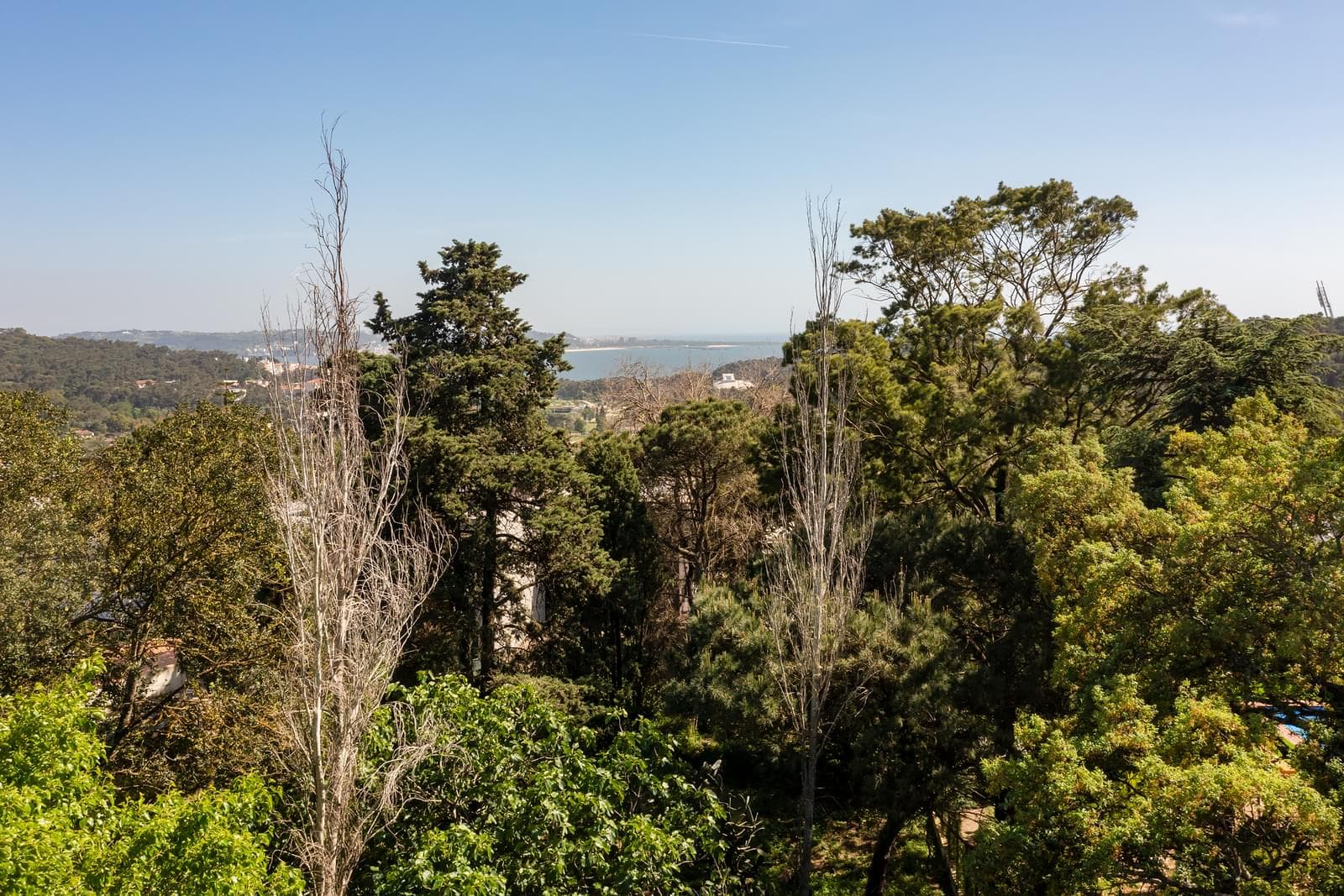 Terreno 1655 m2, Linda-a-Pastora Queijas, Oeiras - Imagem 16