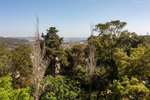 PF33272 - Terreno 1655 m2, Linda-a-Pastora Queijas, Oeiras - Imagem 16