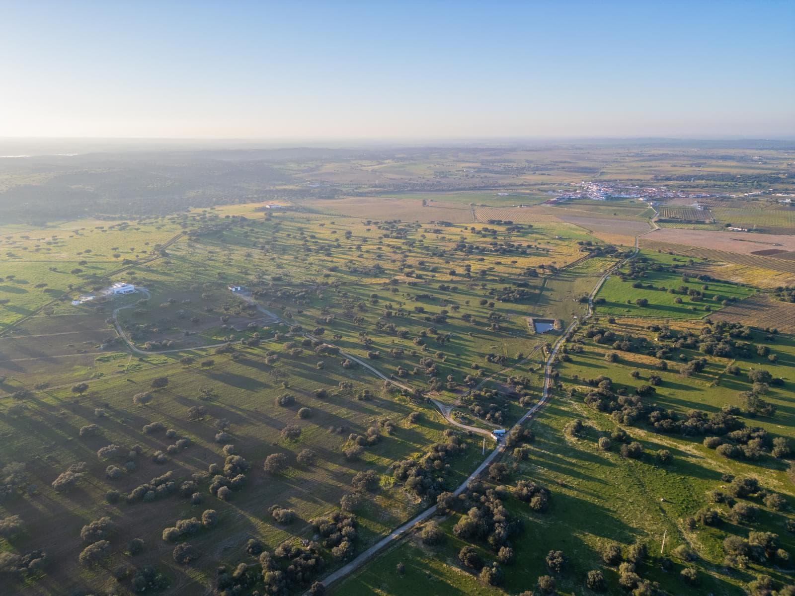 Quinta 30.3 ha, Reguengos de Monsaraz - Imagem 44