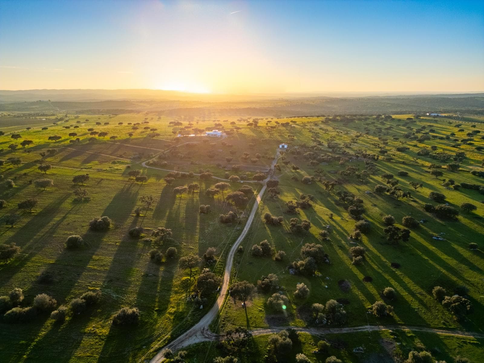 Quinta 30.3 ha, Reguengos de Monsaraz - Imagem 46