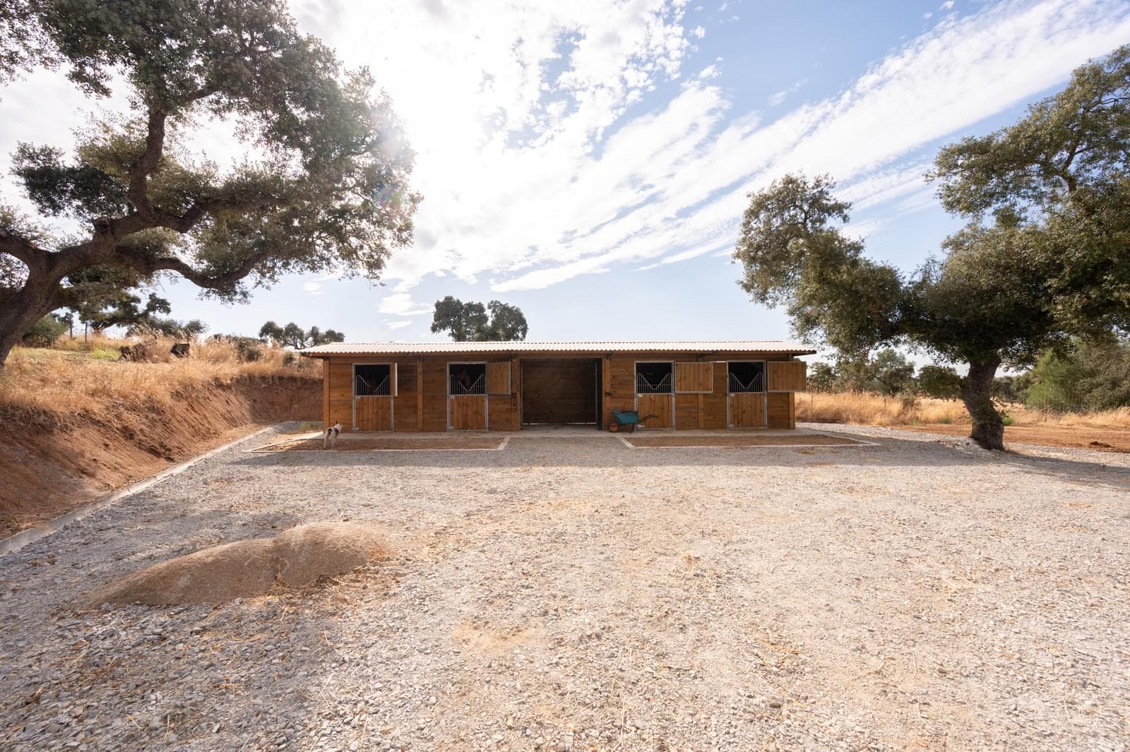 Quinta 30.3 ha, Reguengos de Monsaraz - Imagem 52
