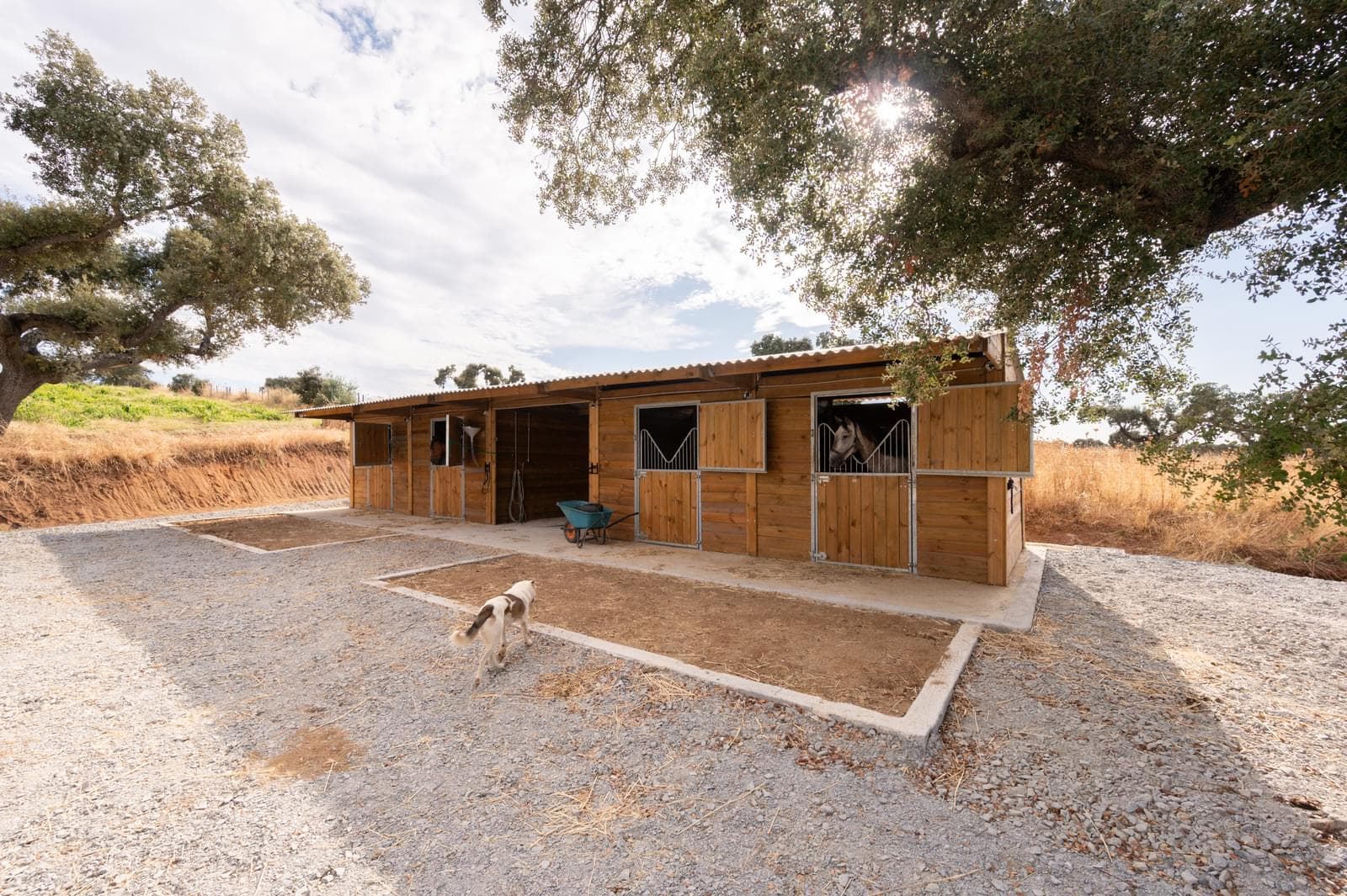 Quinta 30.3 ha, Reguengos de Monsaraz - Imagem 54