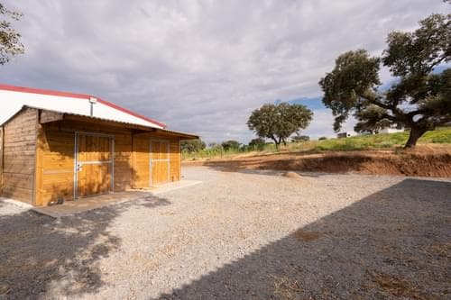 PF33721 - Ferme 30.3 ha, Reguengos de Monsaraz - Image 56