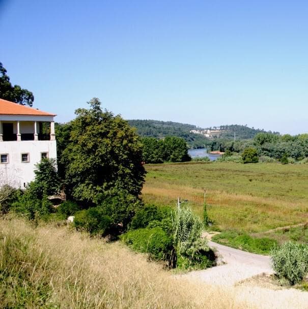 Herdade 3.7 ha - Imagem 11