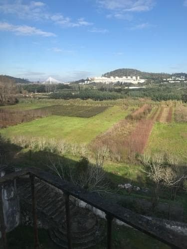 PF33858 - Herdade 3.7 ha - Imagem 5