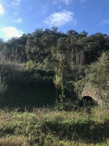 PF33858 - Herdade 3.7 ha - Imagem 43