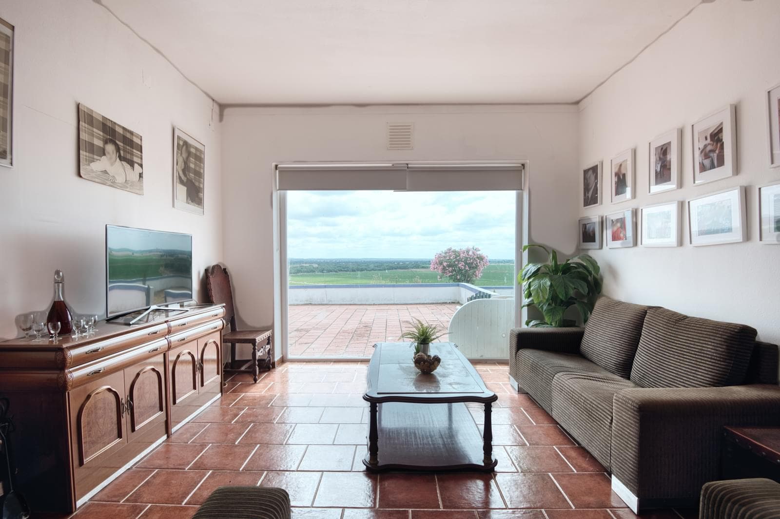 Ferme 2.2 ha, Elvas - Image 16