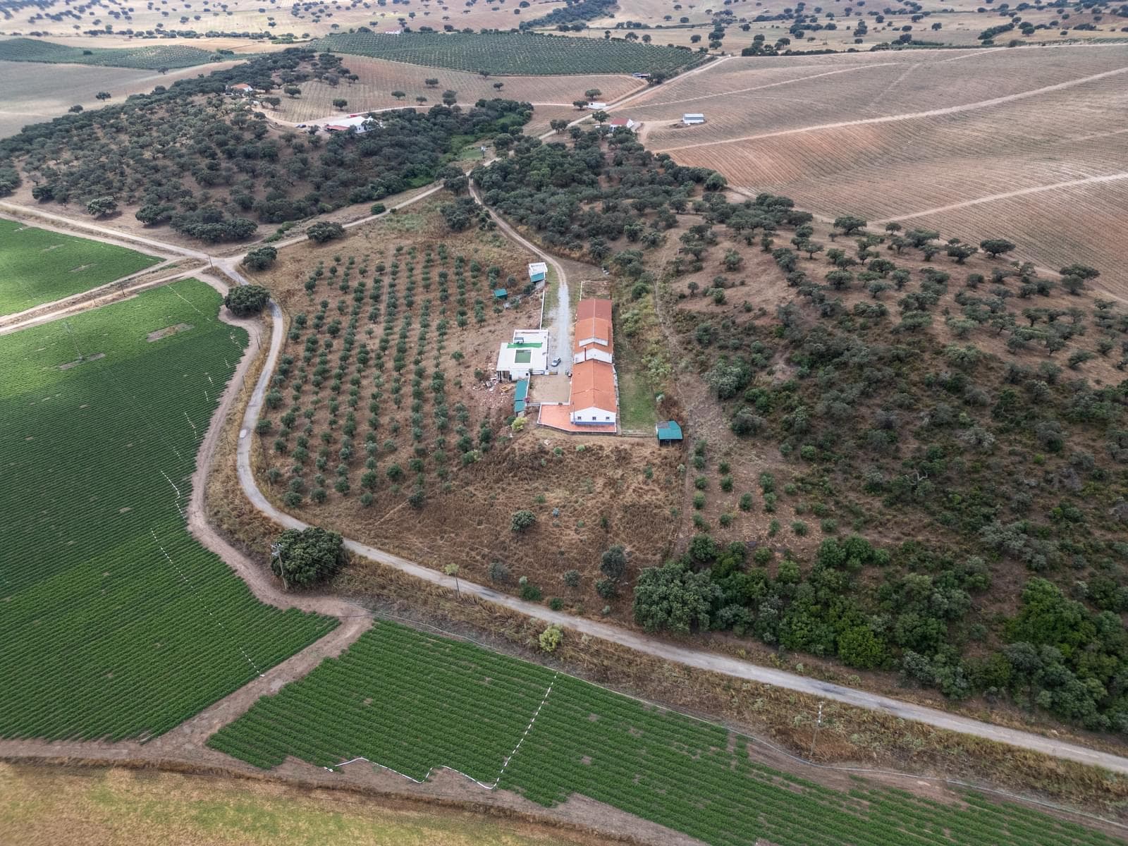 Ferme 2.2 ha, Elvas - Image 46