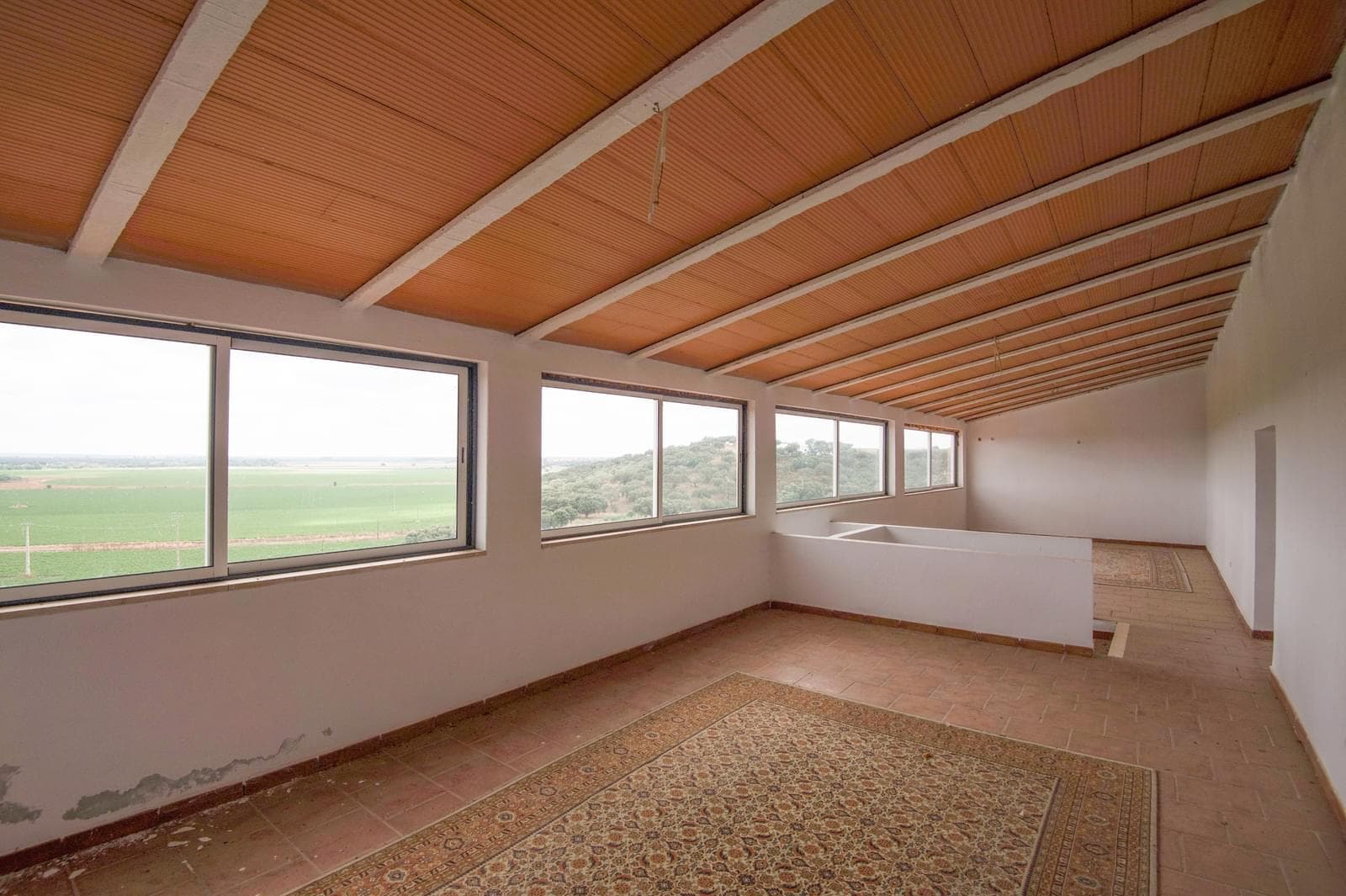 Ferme 2.2 ha, Elvas - Image 31